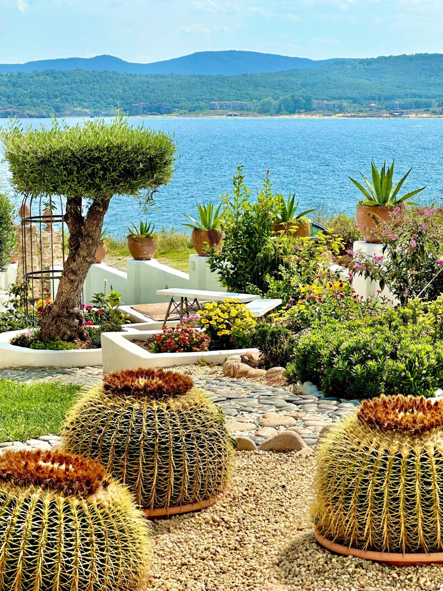 Aparthotel Casa De Oro Alma Sozopol Esterno foto